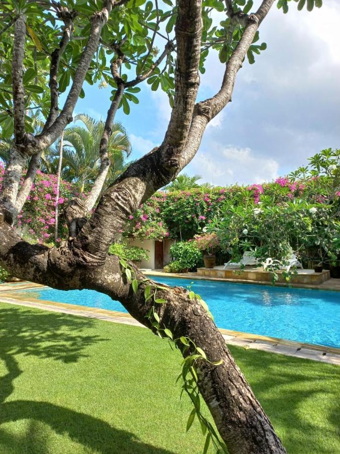 Villa Kunang Семиняк Екстериор снимка